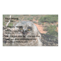 Grand hibou à cornes (3 semaines) cartes de visite professionnelles