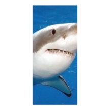 Grand requin blanc modèle de double carte