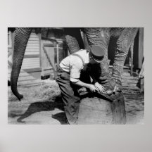 Grande pédicurie, les années 10 posters
