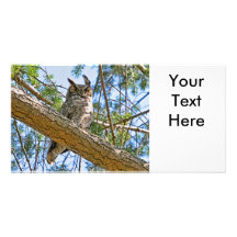 Grande photo de hibou à cornes carte avec photo