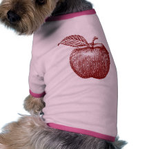 grande pomme manteaux pour toutous