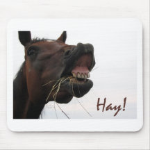 Grappig Paard: Hooi! Muis Matten