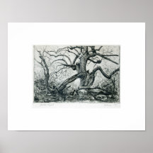 Gravure à l'eau-forte de paysage posters