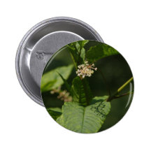 GreenTree Pin's