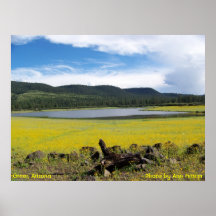 Greer, Arizona Affiche