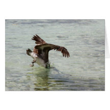 greetingcard wenskaart
