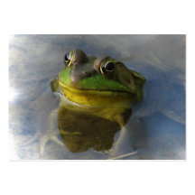 Grenouille avec l'ATC d'attitude Modèle De Carte De Visite