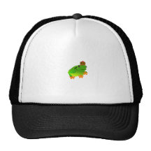 grenouille casquette