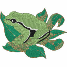 Grenouille d'arbre européenne
