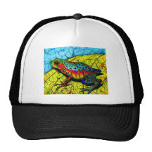 Grenouille d'arc-en-ciel casquettes
