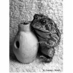 Grenouille de crapaud tenant la photographie de pe photo en découpe