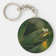 Grenouille Keychain Porte-clés