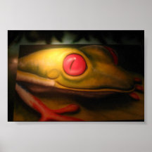 Grenouille Posters