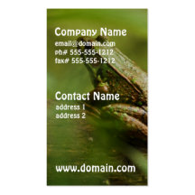 Grenouille sur des cartes de visite de rondin modèle de carte de visite