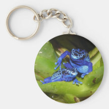Grenouilles bleues de dard de poison dans la feuil porte-clefs