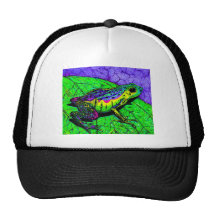 Grenouilles d'arc-en-ciel casquettes de camionneur