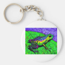 Grenouilles d'arc-en-ciel porte-clés