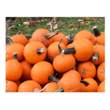 Griezelige Pompoenen Wenskaart