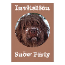 Griffon de Korthals - Milou Sarah Invitations Personnalisées
