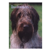Griffon de Korthals - portrait de Tsjip Invitations Personnalisables