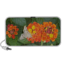 Griffonnage de papillon/fleur haut-parleur notebook