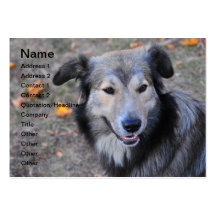 Grijze hond visitekaartjes sjabloon