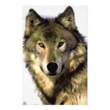 Grijze Wolf Gpersonaliseerd Briefpapier