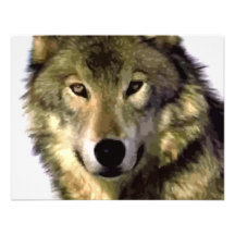 Grijze Wolf Persoonlijke Aankondiging