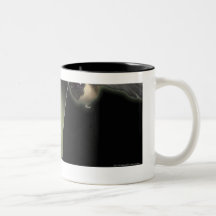 Grippe aviaire sortant de l'oiseau tasse