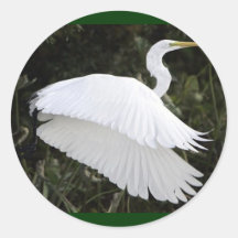 Grote Witte Reiger Ronde Stickers