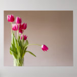 Groupe de tulipes rouges et blanches sur le beige affiche