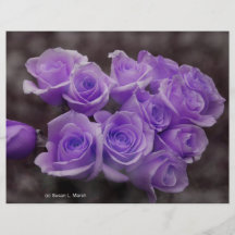 Groupe rose colorized par pourpre prospectus