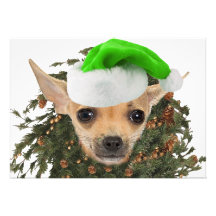 Guirlande et chapeau de Noël de chiwawa Invitation