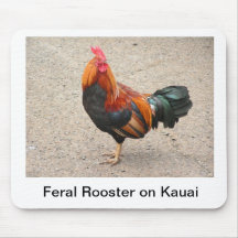 Haan Mousepad Muis Mat