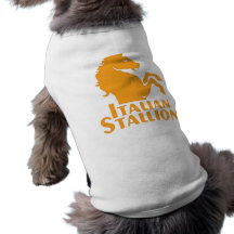 Habillement d'animal familier vêtement pour chien