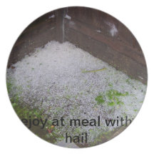 hagel plaat diner bord