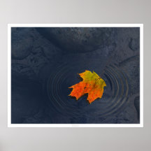 Haiku Affiches