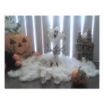 Halloween Bristols Personnalisés