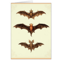 Halloween Cartes