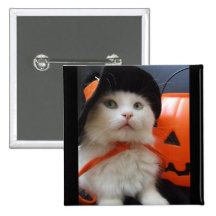 Halloween d'un chat pin's