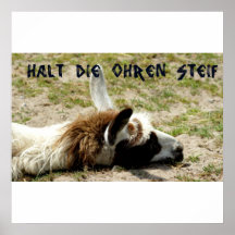 Halt die Ohren steif Poster