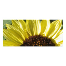 Halve Zonnebloem Persoonlijke Reclamekaarten