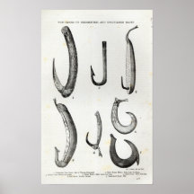 Hameçons de préhistorique et d'incivilisé poster
