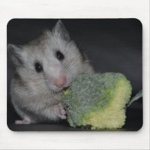Hamster Muismat