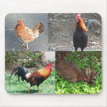 Hanen en Kippen Mousepad Muismatten