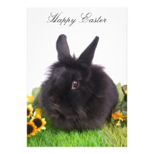 Happy Easter Bristol Personnalisé