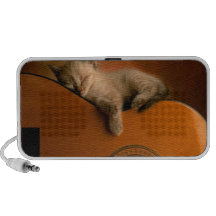 haut-parleur de chaton