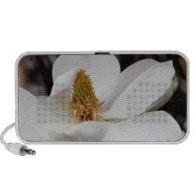 Haut-parleur de magnolia