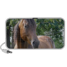 Haut-parleurs de cheval de pur sang de baie