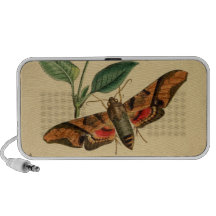 Haut-parleurs de mite de papillon
